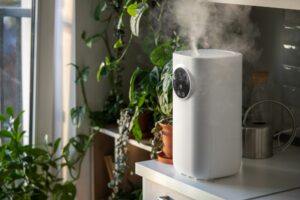 Modern humidifier at home, moistens dry air surrounded by indoor plant. Humidification concept